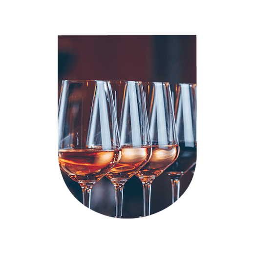 La dégustation de vin est un apprentissage !